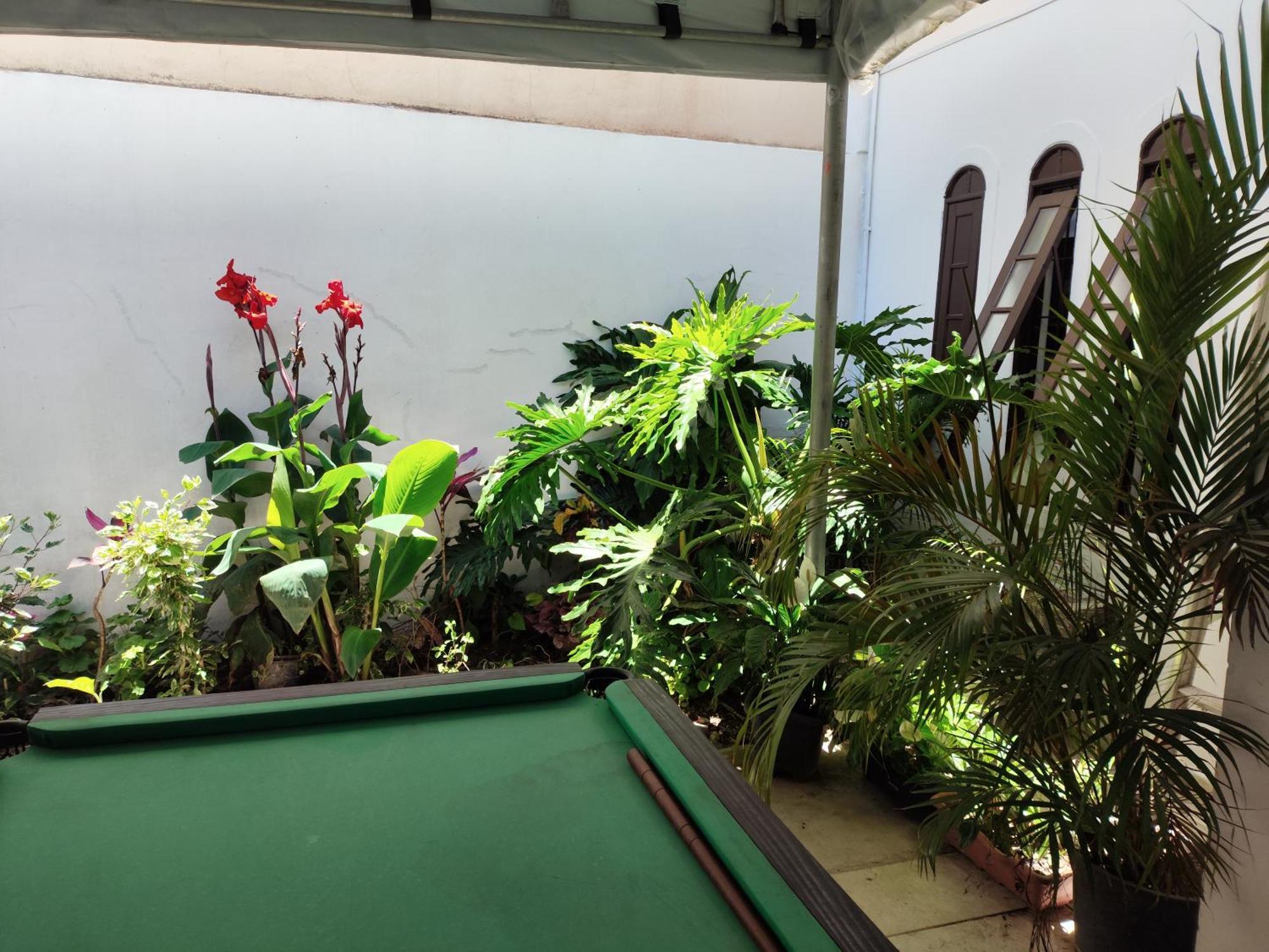 Santa Catarina Hostel - Florianopolis — Fotos 2